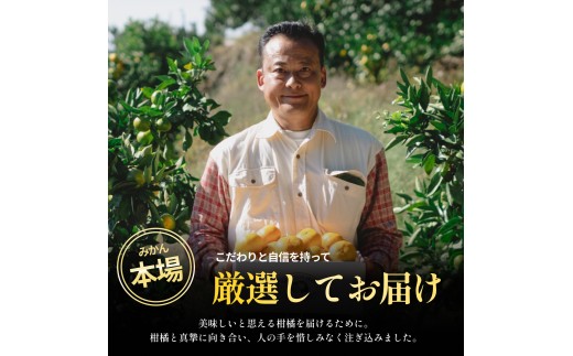＜伊予柑（訳あり）合計約2kg＞『2027年1月上旬～1月下旬迄に順次出荷予定』訳アリ わけあり いよかん イヨカン 濃厚 蜜柑 ミカン 果汁 果物 くだもの フルーツ 柑橘 あまい 甘い 季節 旬の