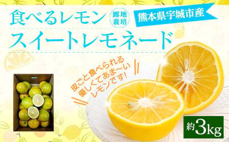 食べるレモン スイートレモネード 約3kg（20～30玉）【吉田レモニー】【2024年12月上旬～2025年6月上旬発送】檸檬 柑橘