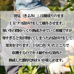 「甘柑きよみ」5kg【C79-27】【1474163】
