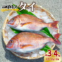 【ふるさと納税】タイ 神経締め 2尾 計約3～4kg 鯛 たい 真鯛 マダイ 鮮魚 産地直送 冷蔵 養殖 国産 記念日 お食い初め お祝い 祝膳 おせち