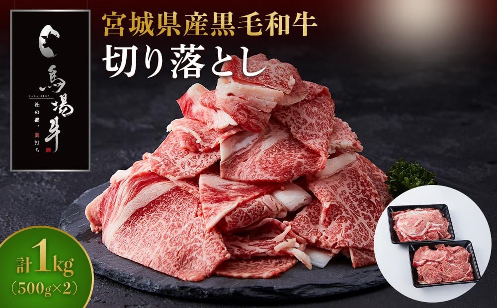 
            ＼小分けで使いやすい／ 牛肉 切り落とし 1kg ( 500g × 2 ) 馬場牛 黒毛和牛 お肉 肉 牛 料理 すき焼き しゃぶしゃぶ 炒め物 牛丼 肉じゃが おすすめ 切落とし 切り落し 国産肉 冷凍 人気 ご当地 お取り寄せ グルメ
          