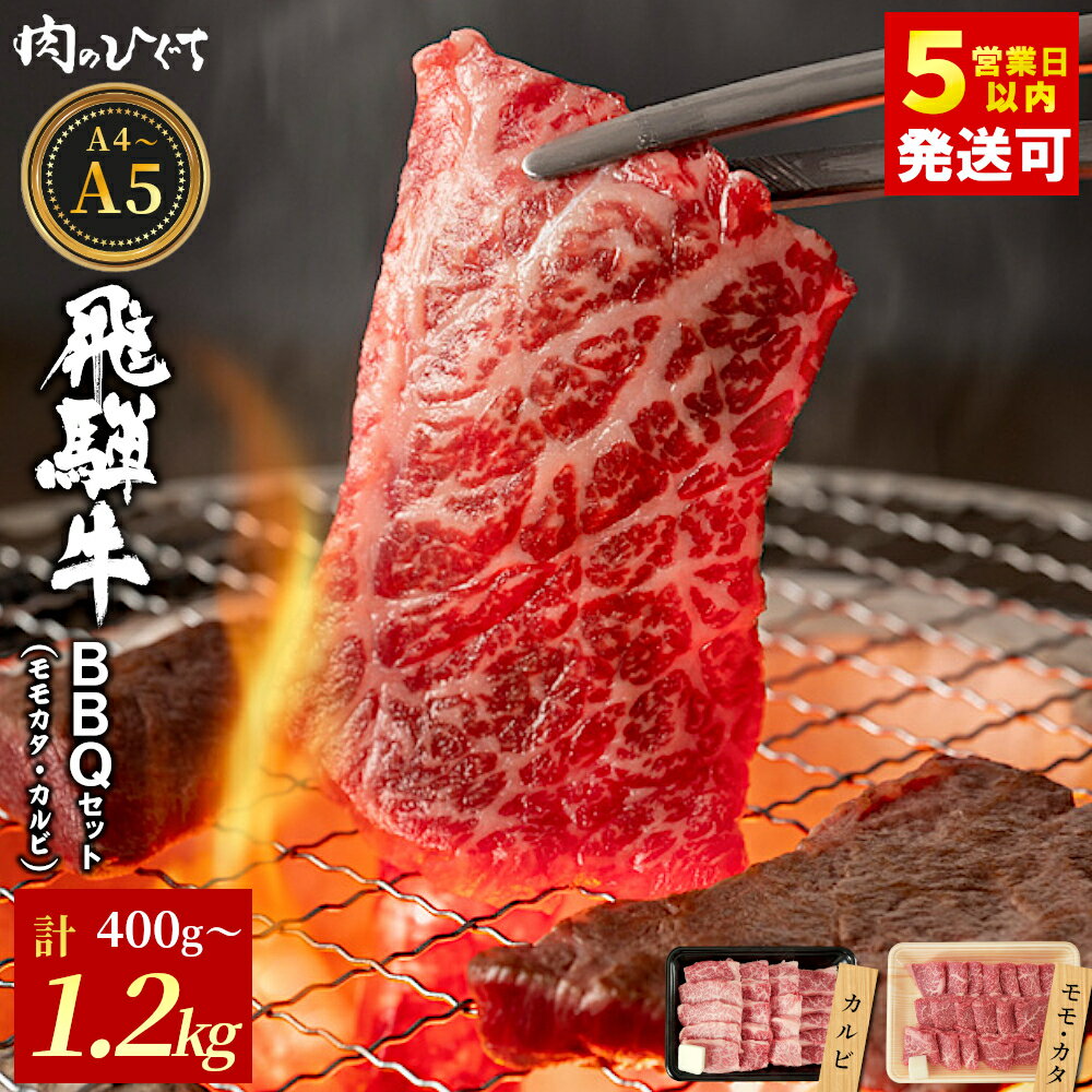 【ふるさと納税】 飛騨牛 BBQセット（カルビ・モモカタ） 400g～1.2kg A5 A4 国産 牛 冷凍 和牛 牛肉 カルビ もも モモ カタ 肩 かた 豪華 ギフト 贈答 にく お肉 肉 贅沢 霜降り 赤身 肉のひぐち 年内発送 【最速配送/発送時期が選べる】