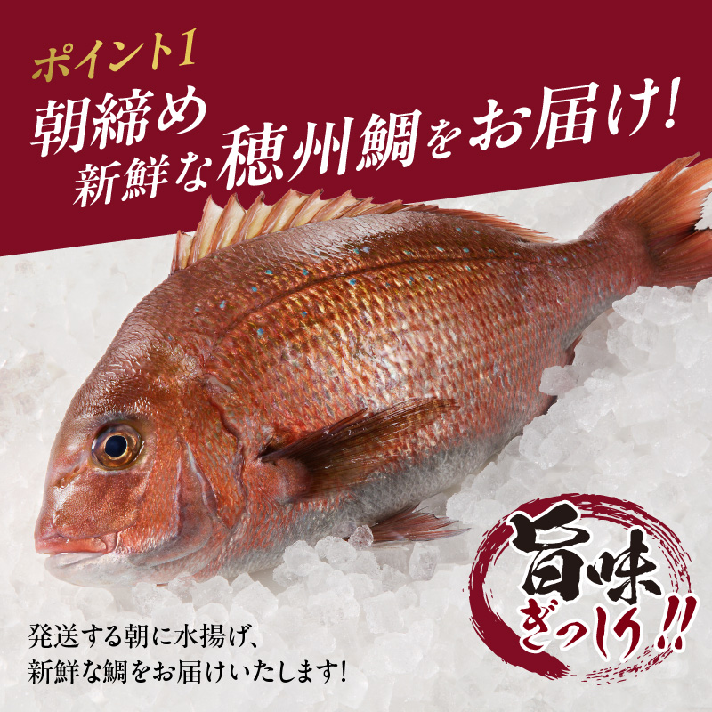 朝締め穂州鯛　サク4人前（10月配送）／ ブランド鯛 渡邉水産 産地直送 サク 柵 湯引き 皮つき 松皮造り 新鮮 鮮魚 真鯛 マダイ 鯛 タイ 鯛しゃぶ 刺身 お刺身 魚 魚介 海鮮 養殖 国産 佐