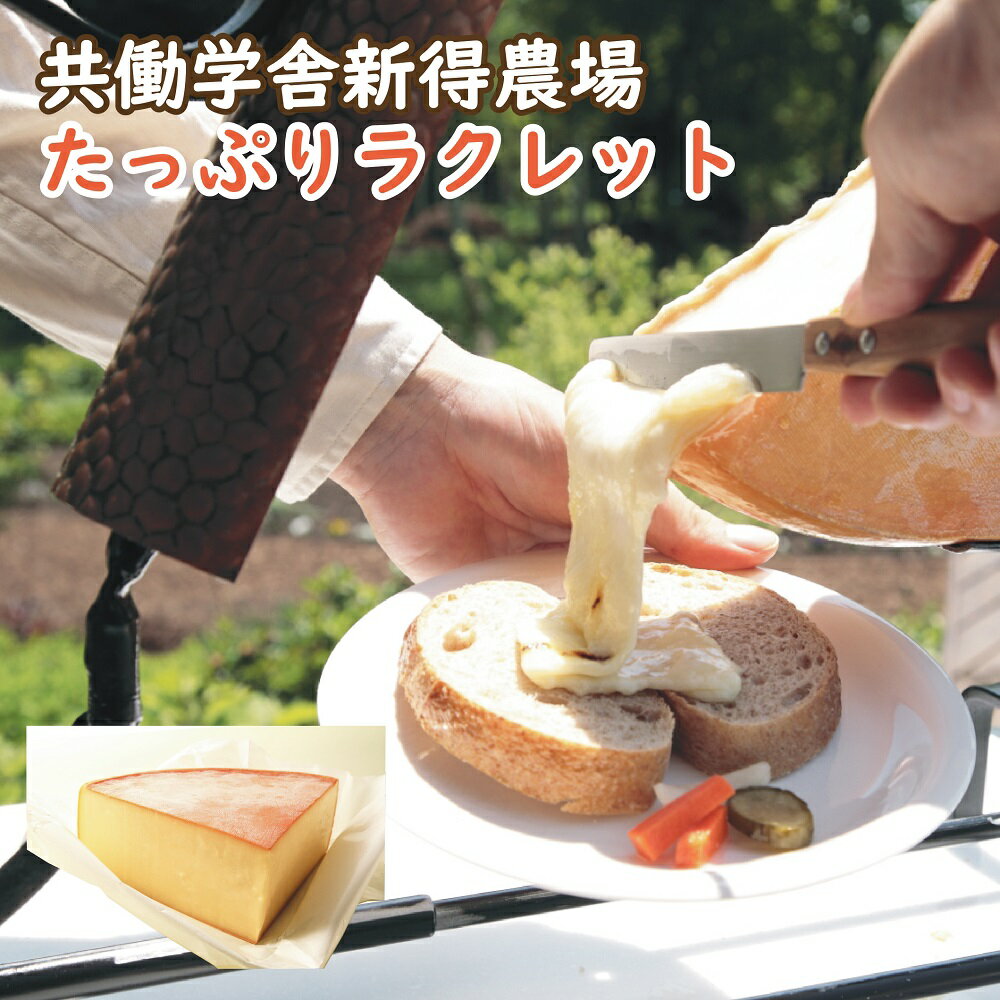 【ふるさと納税】共働学舎新得農場チーズ たっぷりラクレット 1,000g 北海道 十勝 チーズ ちーず ラクレット ラクレットチーズ 乳製品 生乳 国産 新得町 送料無料 【F-2601】