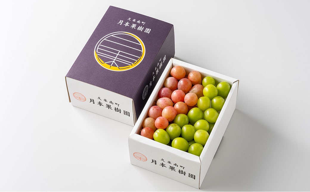岡山県産摘み落としぶどう農家セレクト2種詰め合わせ約1kg