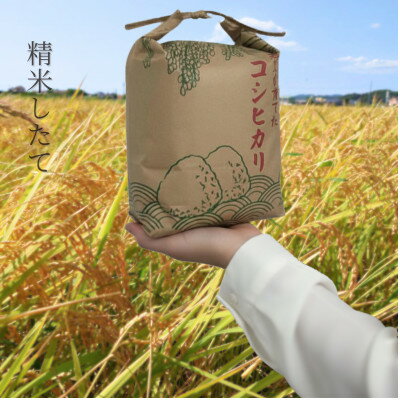 【ふるさと納税】【令和7年産】館山市九重産コシヒカリ　5kg 精米【1728953】