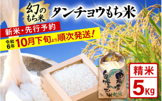 【新米・先行予約】幻のもち米 タンチョウもち米 5kg（精米）令和6年産【お米 米 こめ コメ kome  福井県産 モチ たんちょう おこわ 餅 おもち 常温 年末 赤飯 餅つき】【令和6年10月下旬より順次発送】 [e35-a021]