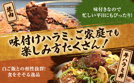 牛ハラミ タレ漬け 300g×4 8〜12人前 牛ハラミ