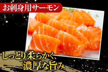 お刺身トラウトサーモン2～3本(計700g)＆鮭とば100g×1P A-09123