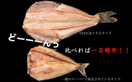 【価格改定予定】干物 ひもの 魚 シマホッケ 干物 縞ホッケ 干物 特大 干物 7枚 セット 地物 干物 【干物 ひもの 魚 干物 ひもの シマホッケ 干物 ひもの 干物 ひもの 縞ホッケ 干物 ひも