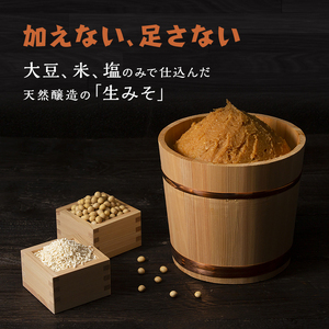 みそ汁 山吹味噌 フリーズドライ 9食 セット みそ汁