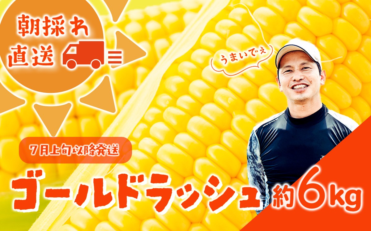 
            【 先行予約 2026年7月上旬以降発送 】【農家直送】 朝採り! トウモロコシ（ ゴールドラッシュ ）1箱 約 6kg とうもろこし スイートコーン 産地直送 期間限定 甘い [SF018ya]
          
