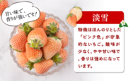 【先行予約】【全3回定期便】白いちご2種（淡雪・パールホワイト）/ いちご イチゴ 苺 果物 フルーツ 定期便 / 佐賀県ふるさと納税 [41AAZZ001]