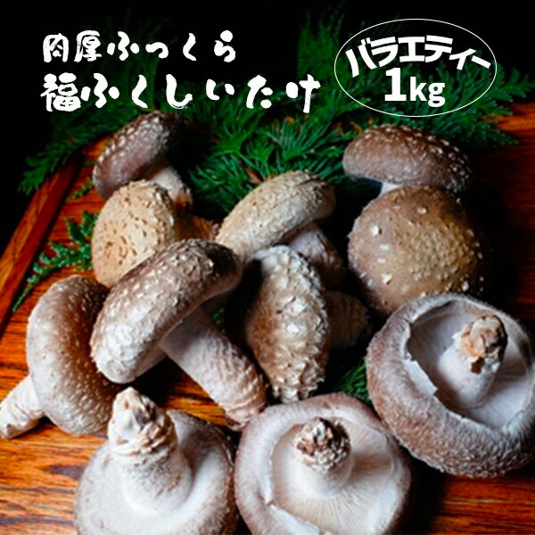 【ふるさと納税】肉厚ふっくら 福ふくしいたけ バラエティー 1kg