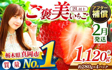 【2月発送】ご褒美いちご とちあいか 2L以上 約1120g 280g×4パック