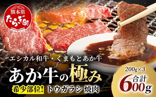 【エシカル和牛】くまもとあか牛【あか牛の極み】 希少部位 トウガラシ 焼肉 200g×3 (計 600g) 希少 赤身 カタ とうがらし 熊本 あか牛 牛肉 小分け 焼肉 バーベキュー 和牛 国産 SDGs 033-0516