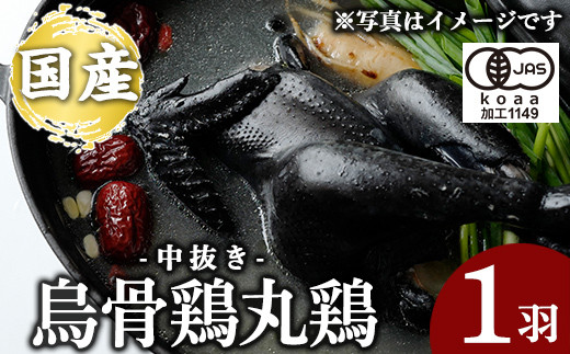 
                  K-333 国産！オーガニック烏骨鶏丸鶏(中抜き)1羽【お多福たまご】霧島市 国産 九州産 鹿児島県産 烏骨鶏 うこっけい 鶏肉 鳥肉 鶏 とり 丸どり 無投薬 無投薬飼育 抗生物質不使用 ワクチン不使用 ワクチンフリー オーガニックチキン
                