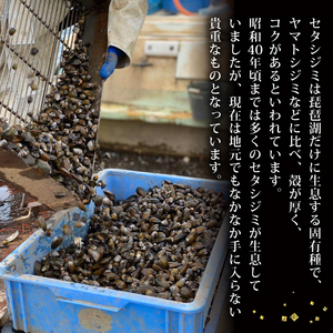 びわ湖産天然 しじみ味噌汁 10食入 ＜あゆの店きむら＞