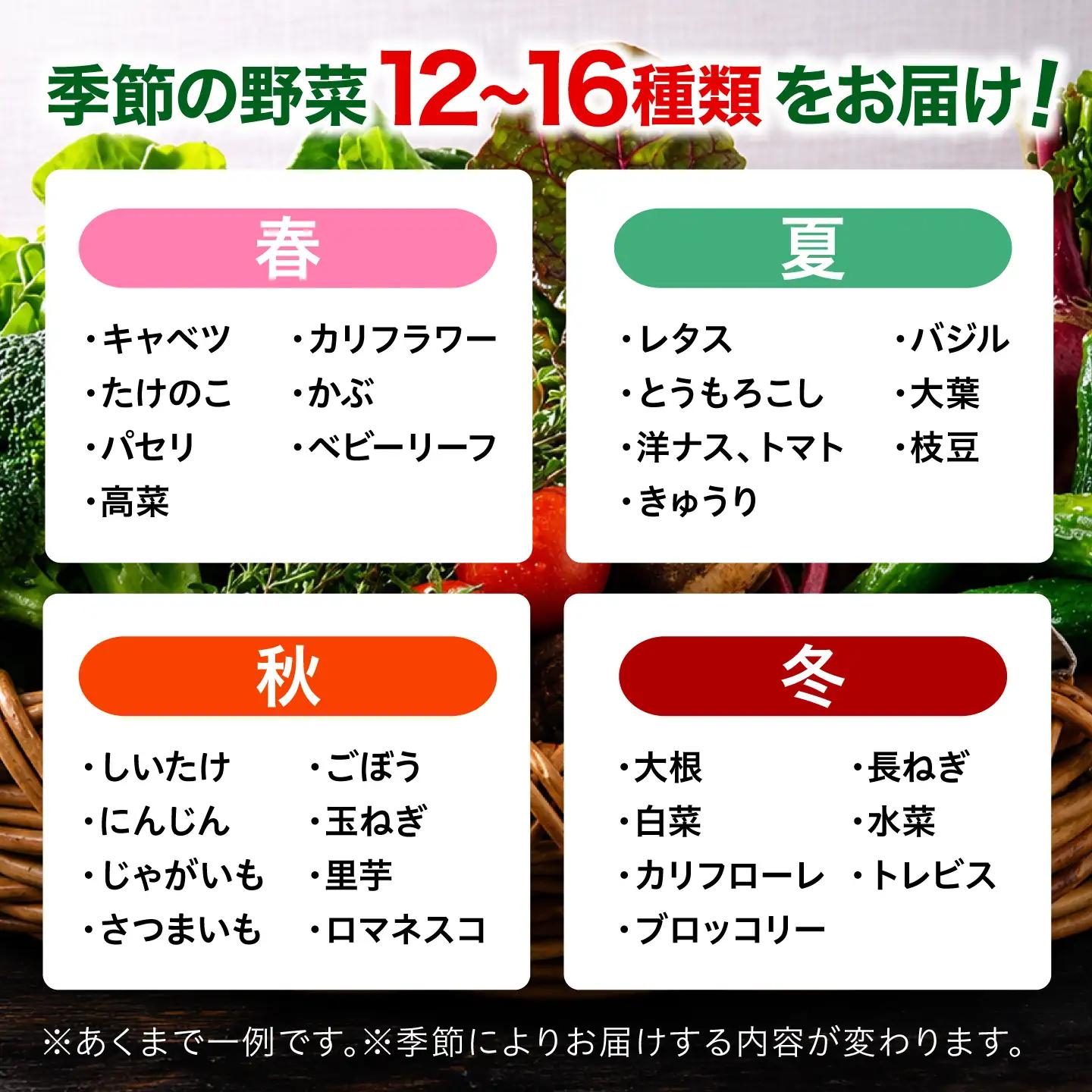 野菜セット（12-16種）野菜 詰め合わせ [AGBX003]