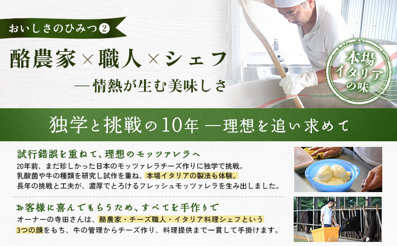 モッツァレラチーズ4個入セット【15000301】 4個入