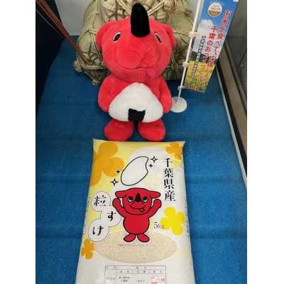 令和6年産千葉県産粒すけ精米5kg【1576623】