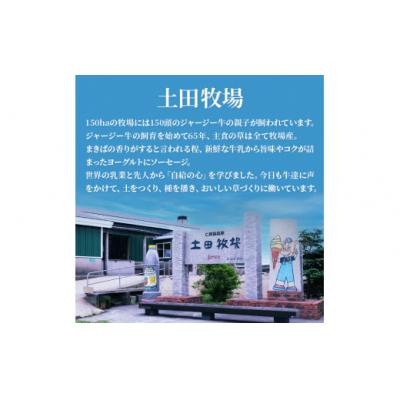 ふるさと納税 にかほ市 ボロニアソーセージ 500g×1本(ジャージー ミート使用)[No.5934-0335] |  | 02