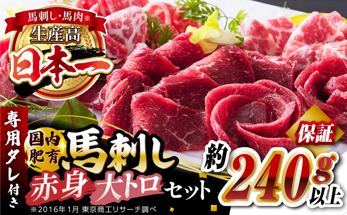 国内肥育 馬刺し 大トロ霜降り 赤身セット 約240g以上保証 ( 大トロ霜降り 赤身 ) 専用タレ付き 熊本 山都町 冷凍 馬肉 馬刺 ヘルシー 小分け【有限会社 丸重ミート】[YAK004]