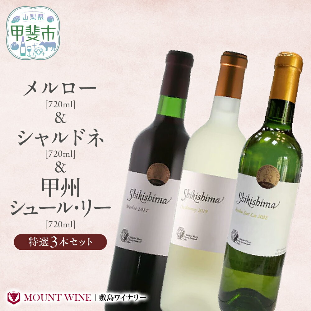 【ふるさと納税】特選3本セット【メルロー & シャルドネ & 甲州シュール・リー】 720ml×3本 敷島醸造 ワイン 赤ワイン 白ワイン わいん シャルドネ ワインセット 辛口 日本ワイン 国産ワイン ギフト お祝い 飲み比べ 山梨 甲斐市 F-20