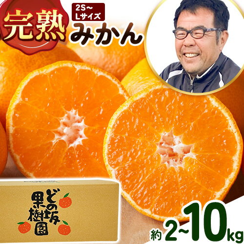 【ふるさと納税】《緊急確保》今期最終！完熟みかん 選べる内容量 5kg 10kg サイズおまかせ どの坂果樹園《12月上旬-2月上旬頃出荷予定》和歌山県 日高町 みかん 早生 旬 柑橘 フルーツ 果物 蜜柑 ミカン