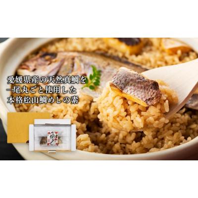 ふるさと納税 松山市 【ギフト用】熨斗付き 松山鯛めしの素(2合タイプ×2p)