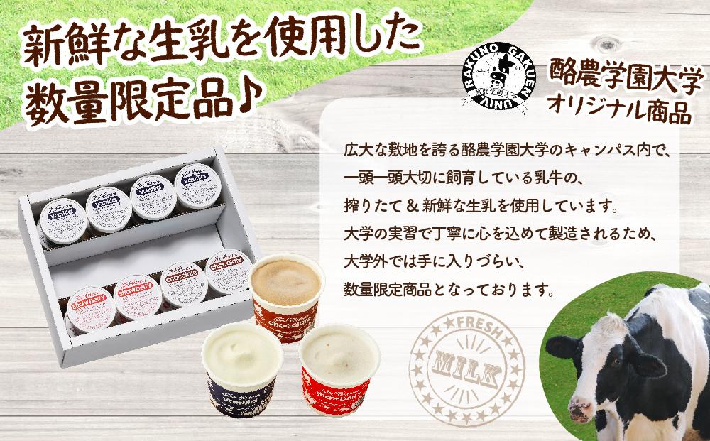 酪農学園大学アイス16個セット
