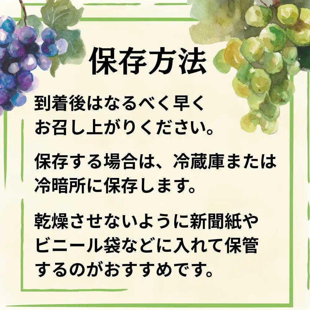 訳あり ぶどう シャインマスカット ピオーネ セット 詰め合わせ 食べ比べ 約 1kg 山形県 農家直送 2026 年発送 種なし 種無し ブドウ 葡萄 グレープ 果物 フルーツ 詰合せ 産地直送 家