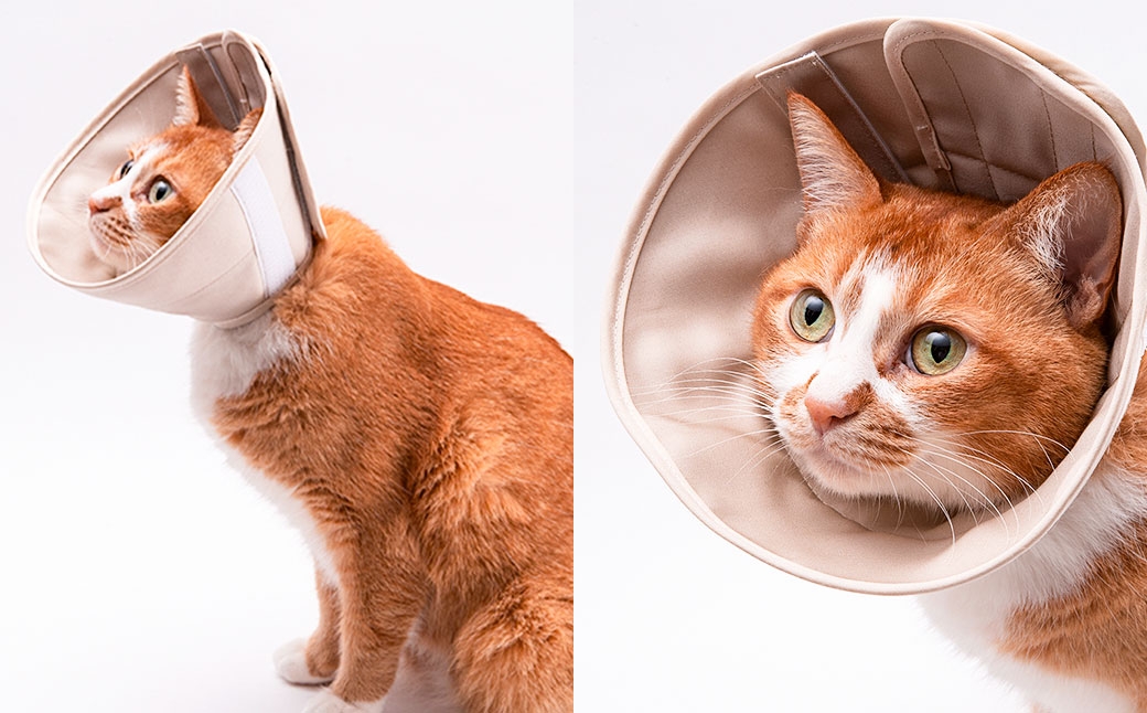 ぽぽねこ 軽くて柔らかい猫用エリザベスカラー