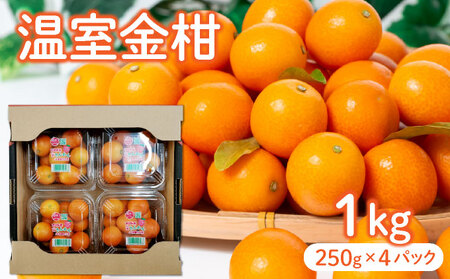 KU434【先行予約】 温室金柑1kg（250g×4パック）