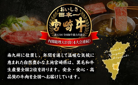 宮崎牛霜降りすきしゃぶ 300g×2_M332-003