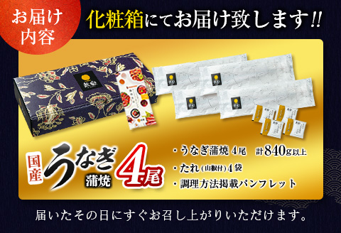 特大 うなぎ 鰻楽 国産 4尾 計840g以上 蒲焼 無頭 冷凍 個包装 贈答品 ギフト 数量限定 ※2026年8月お届け【C388-840-2608】