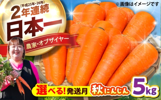 【先行予約】【2026年12月順次発送開始】【通常発送】秋にんじん5kg / にんじん ニンジン 野菜 β-カロテン 食物繊維 抗酸化作用 栄養満点 熊本県産 菊陽町　【株式会社 まゆみ農園】 [BHCW015]