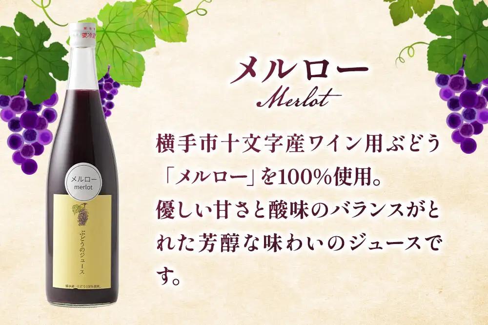 ぶどうジュース 飲み比べ 2本セット メルロー・マスカットベリーA 720ml×各1本