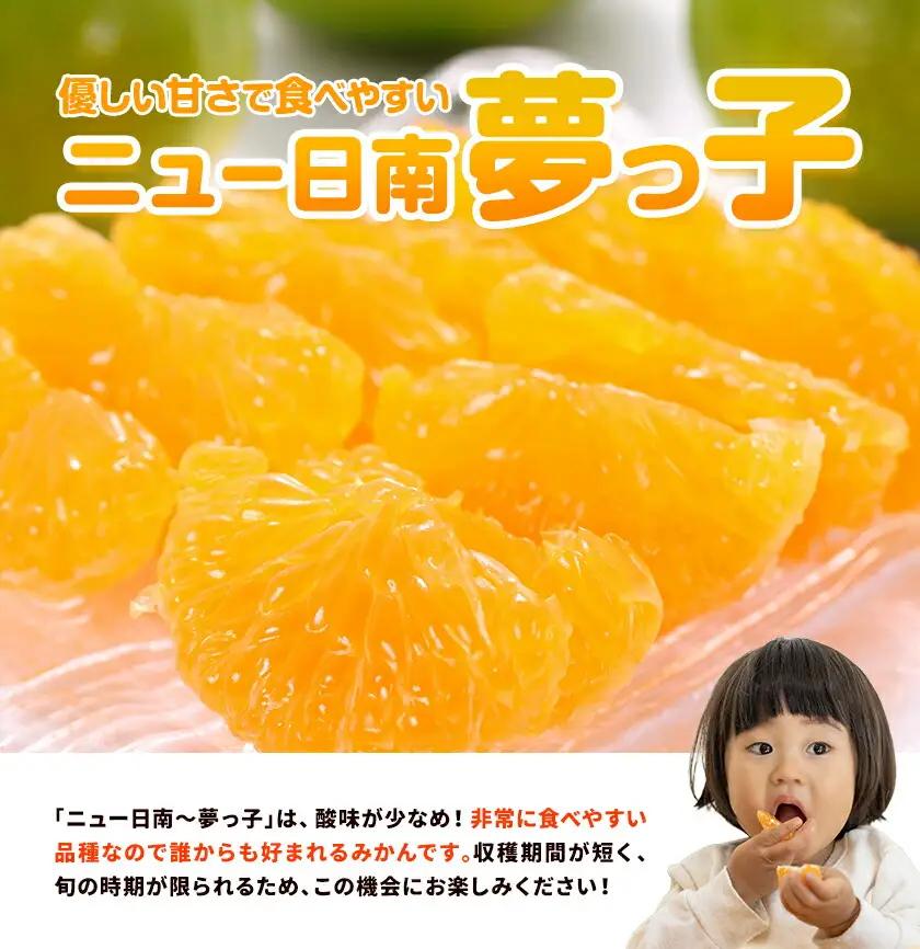 【先行予約】みかん 極早生みかん 夢っ子 10kg 