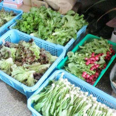 ふるさと納税 安芸高田市 安芸高田市の小さな農家お届けするふるさと旬野菜セット[No5895-0194] |  | 02