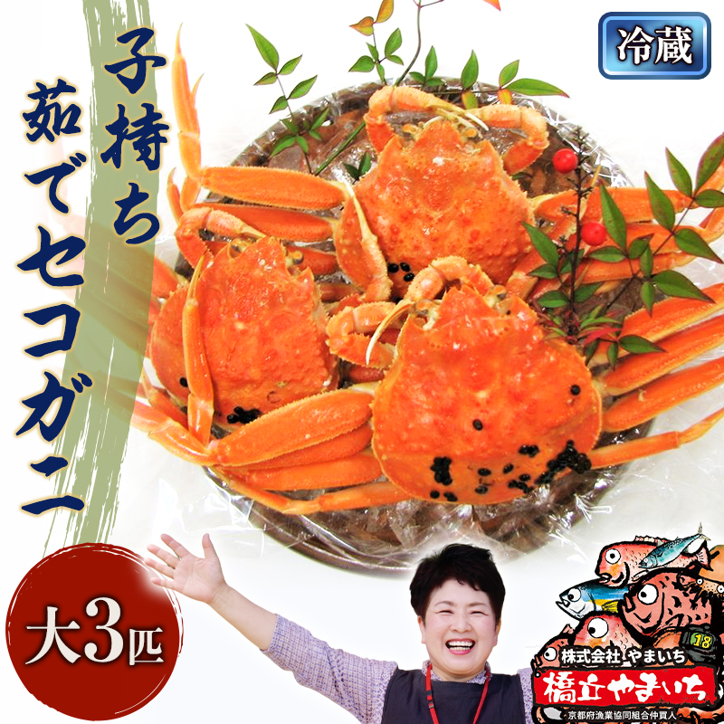 国産 子持ち 茹で セコガニ 大サイズ 3杯セット(冷蔵) カニ 