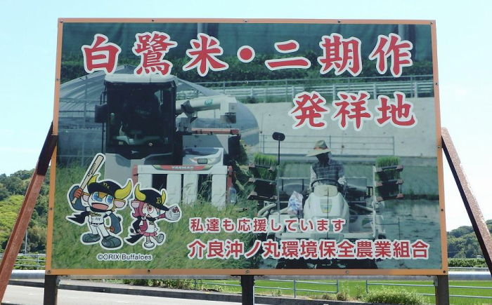 【先行予約】 農薬節減！ 白鷺米 にじのきらめき 約5kg ＜2025年9月〜発送＞ / 高知 米 お米 精米 　【津ノ宮農園】 [ATBV017]