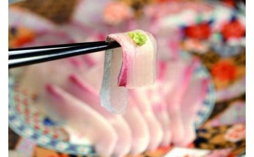 カンパチ 勘八 2節 セット | 極美勘八 人気 高級 魚 産地直送 新鮮 かんぱち しゃぶしゃぶ 鍋 照り焼き 刺し身 刺身 さしみ 生 冷蔵 高知県 須崎市