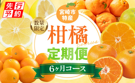 《2026年発送先行予約》【数量・期間限定】【定期便】宮崎市柑橘特産6ヶ月コース みかん ぽんかん 金柑