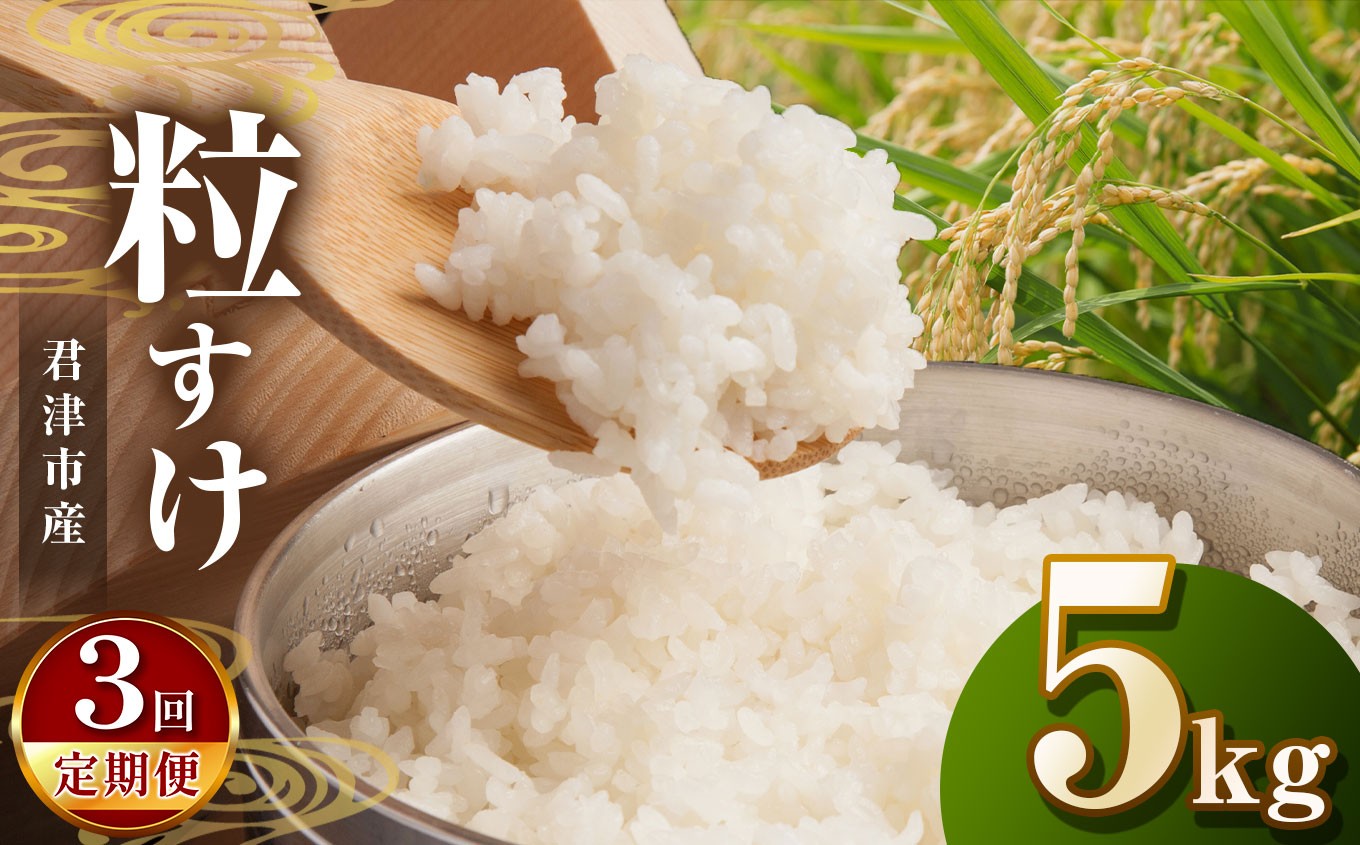 
                  【令和7年産】【3回定期便】君津市産粒すけ（精米）5kg | JA さだもと 米 こめ お米 おこめ 白米 精米  定期便 定期 千葉県 君津市 きみつ
                