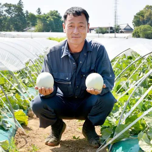 メロン プリンスメロン 1箱 約5kg  7～8玉 八千代町産 先行予約