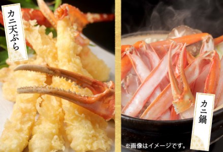 【越前産】【最新の冷凍技術】紅ずわいがに 脚棒のみ ハーフポーション（半むき身）600g 国産 越前がに