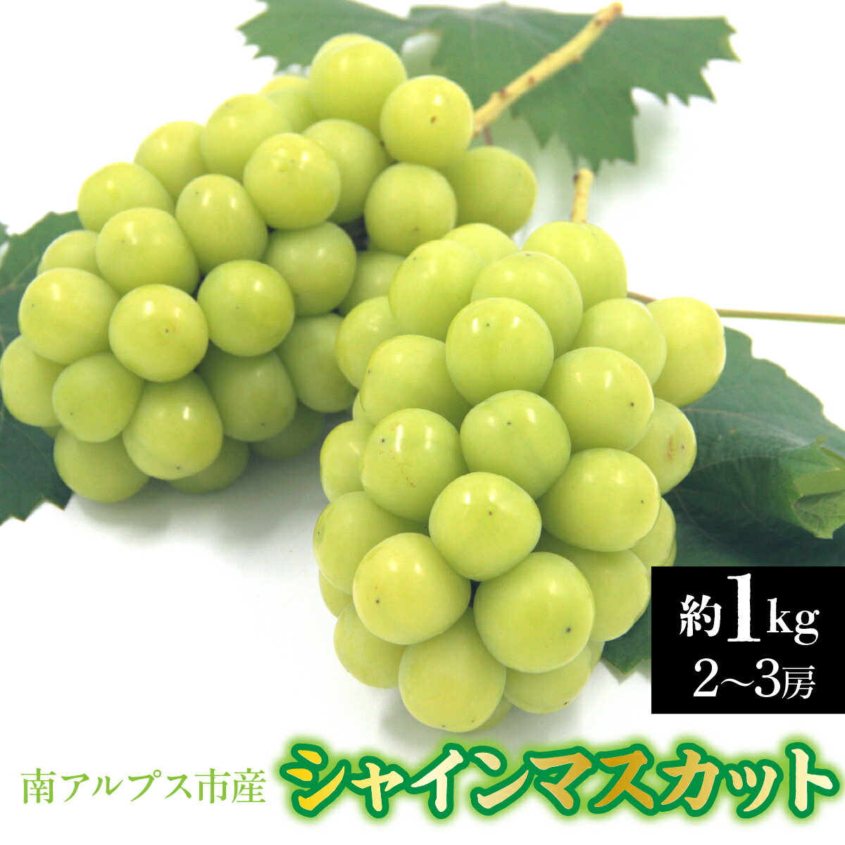 【ふるさと納税】【2026年発送先行予約】南アルプス市産　シャインマスカット　約1.0kg（2～3房）ふるさと納税 葡萄 ぶどう 果物 フルーツ おすすめ 山梨県 南アルプス市 送料無料 ALPDD026