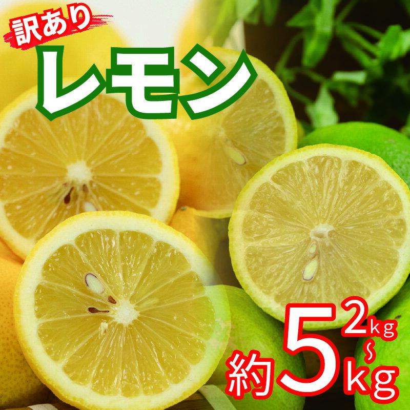【ふるさと納税】 訳あり レモン サイズ不揃い 2kg/5kg | 訳あり れもん レモン グリーンレモン イエローレモン 檸檬 国産 旬のフルーツ 愛媛県 松山市