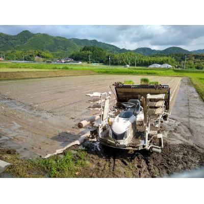 ふるさと納税 小竹町 【毎月定期便】有機JAS認定の小さな竹美人 白米×4kg全12回 |  | 01